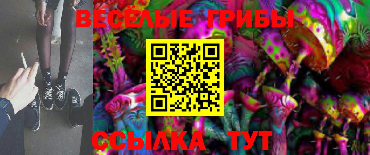 Санкт-Петербург  Галлюциногенные грибы MAGIC MUSHROOMS  Вход с VPN  Псилоцибиновые грибы MAGIC MUSHROOMS 